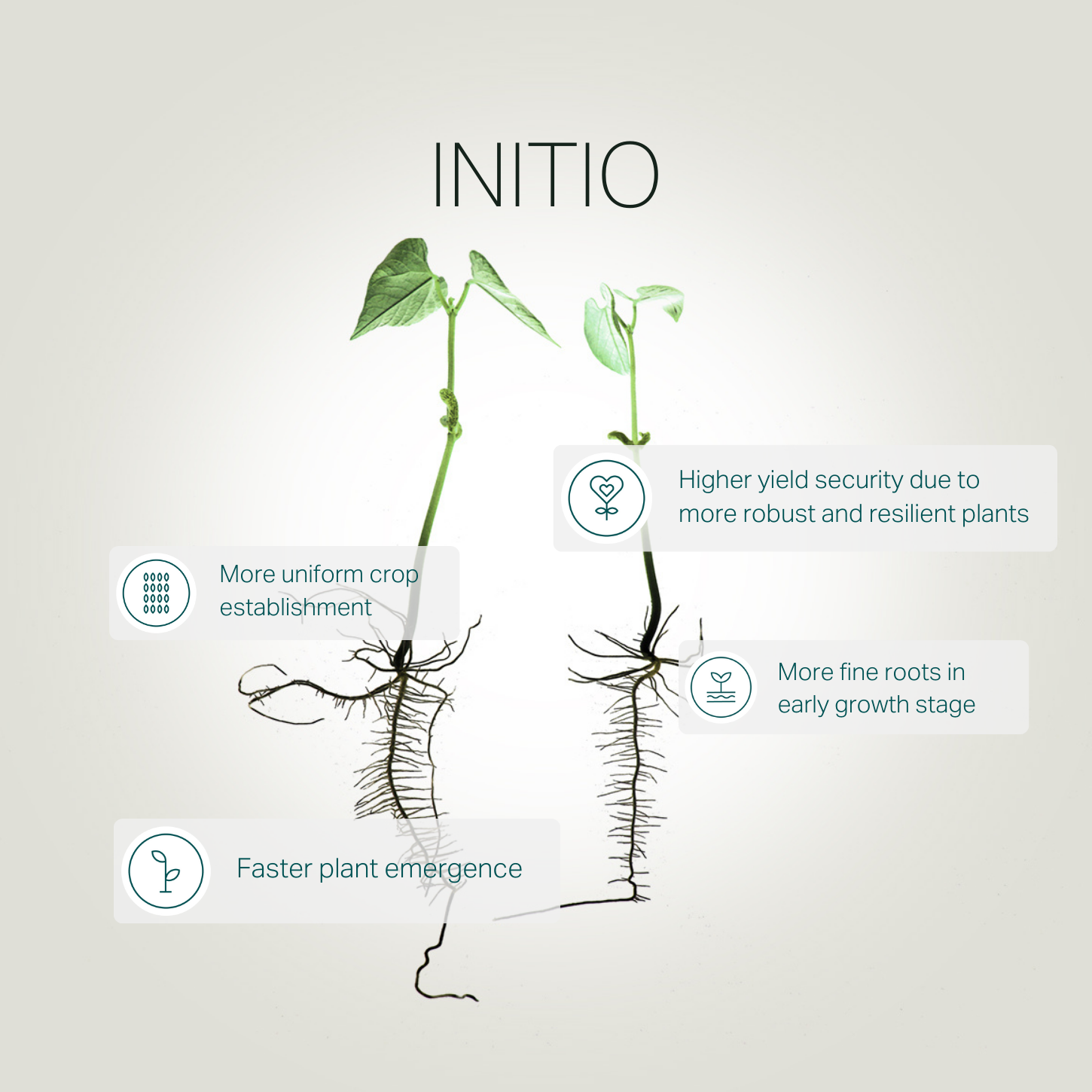 INITIO seed treatment solution